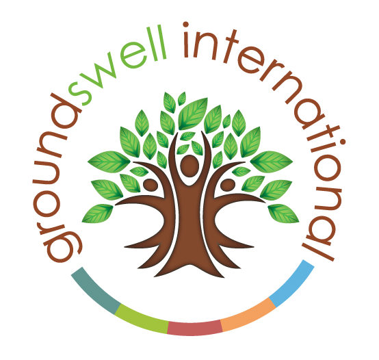 Groundswell International