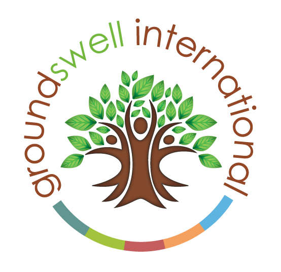 Groundswell International