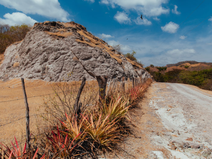 Honduras Dry Cooridor landscape