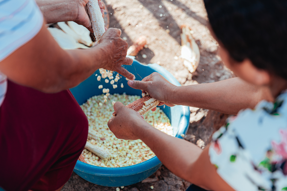 Agroecology as a science to transform food systems