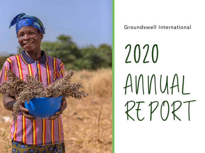 Groundswell's 2020 Annual Report