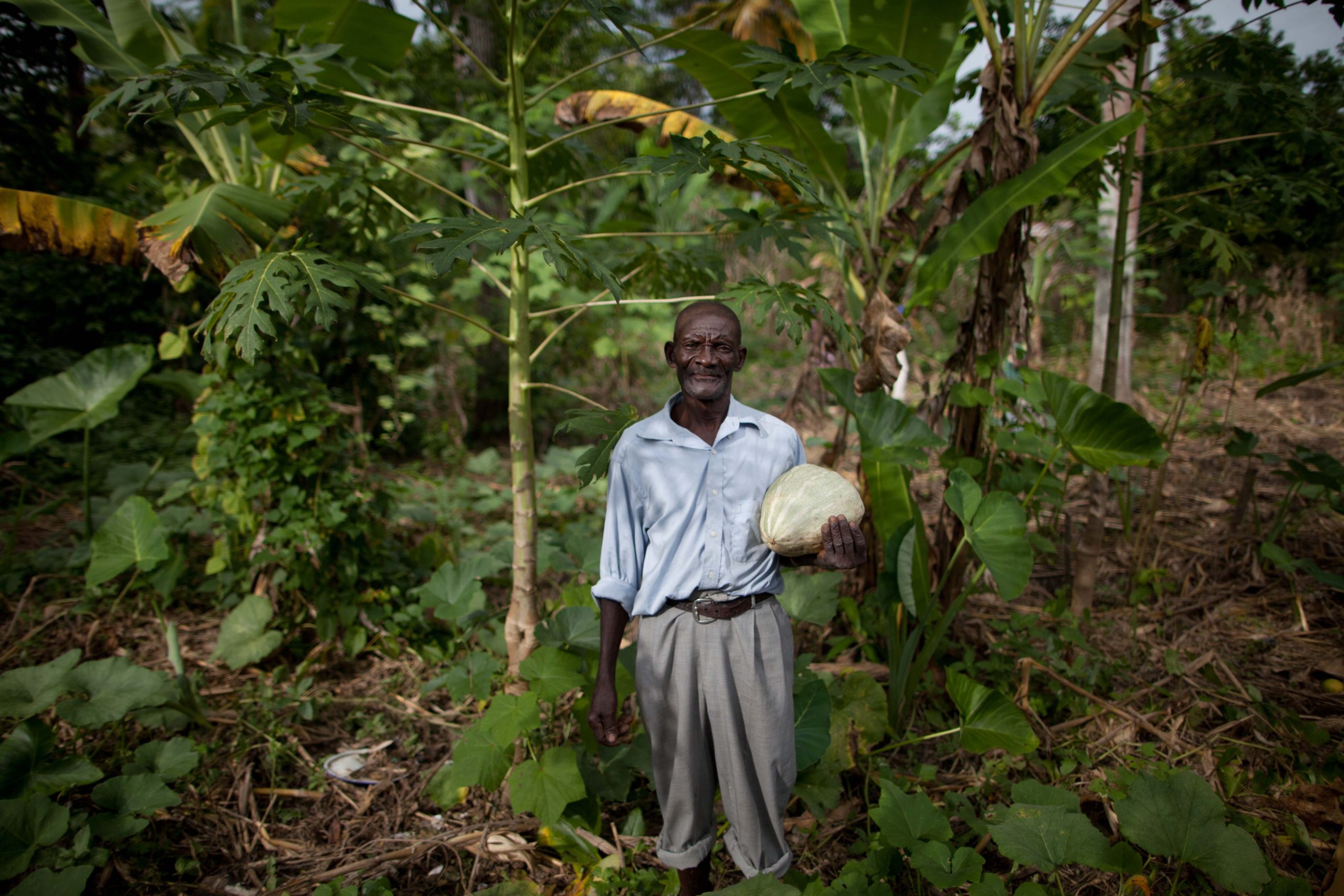 New Evidence of Impact: Agroecology as a Poverty Solution in Haiti