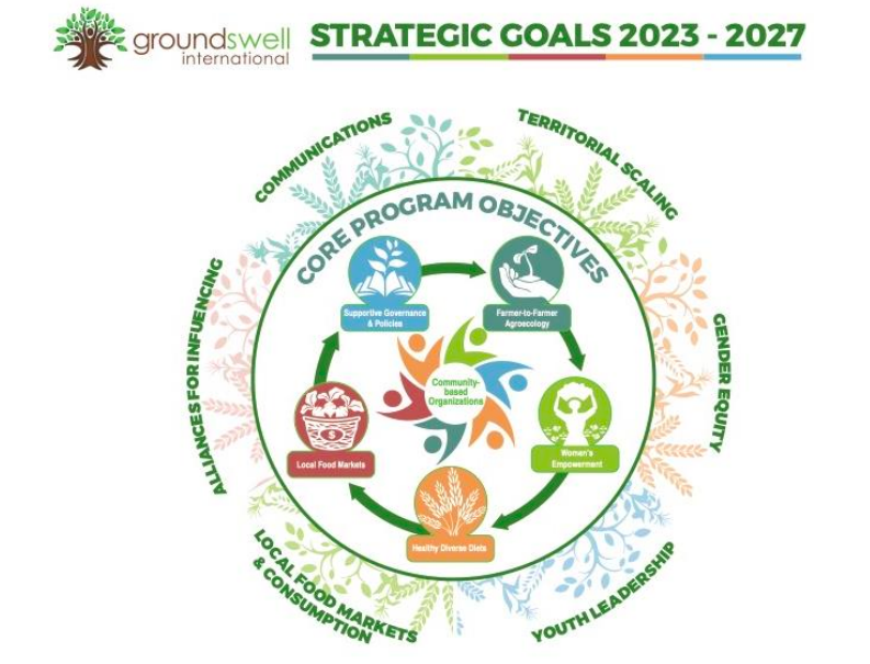 Groundswell's Strategic Framework Goals