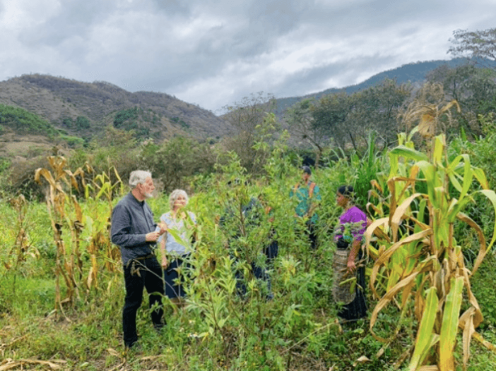 mayan seeds of hope