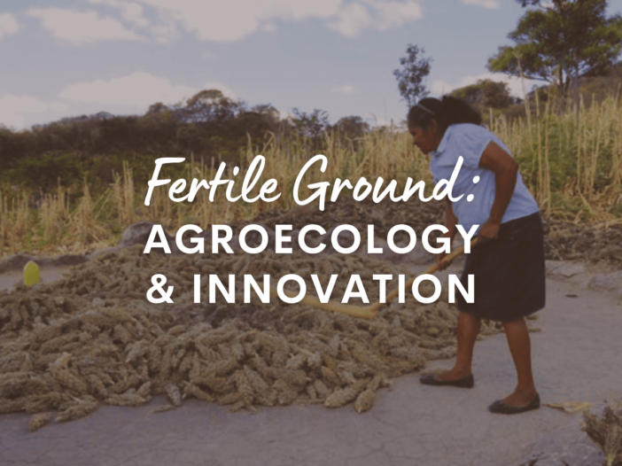 fertile ground agroecology & innovation