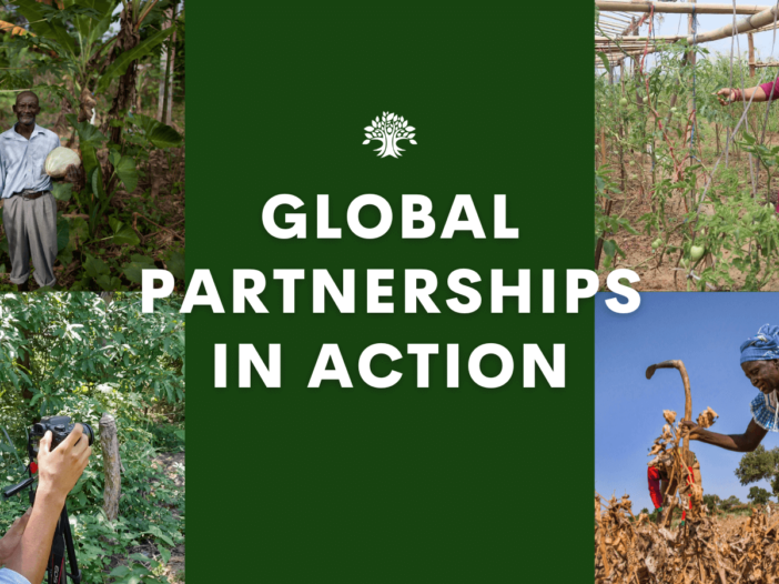 global partnerships in action