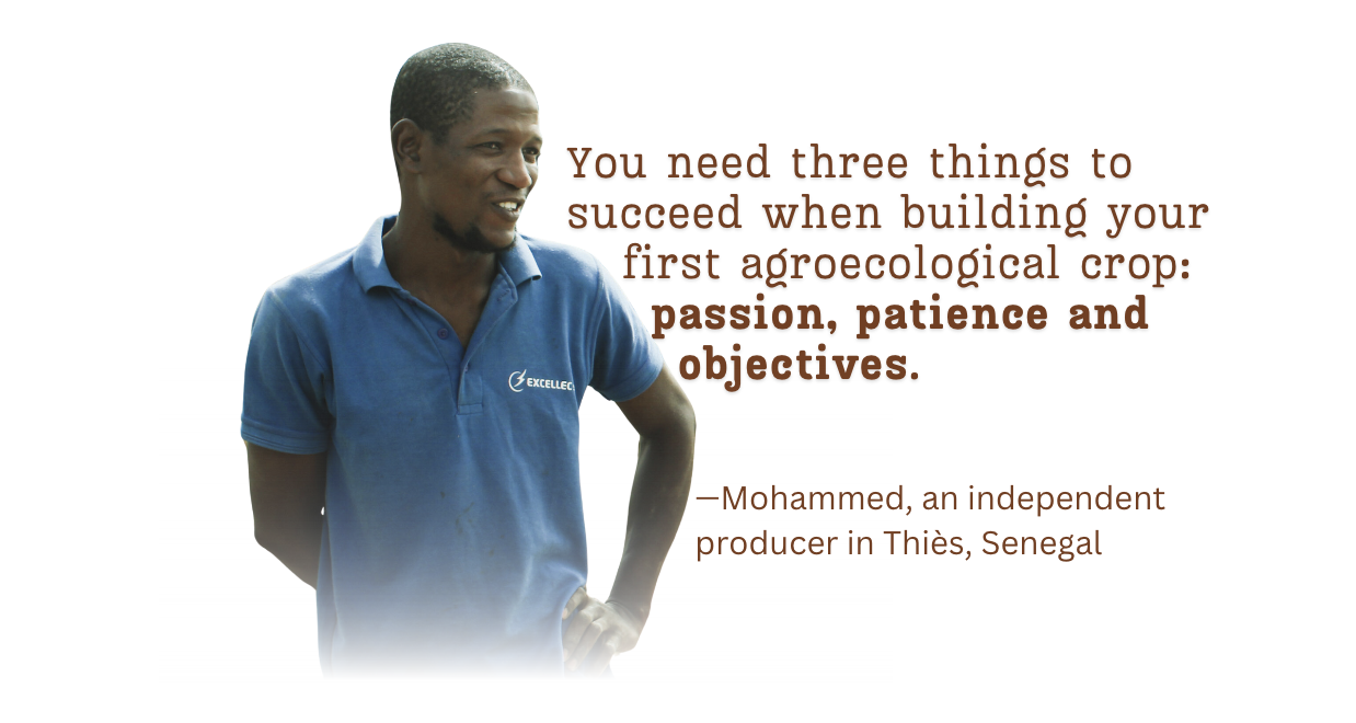 Mohammed, an independent producer experimenting with agroecology in Thiès, Senegal