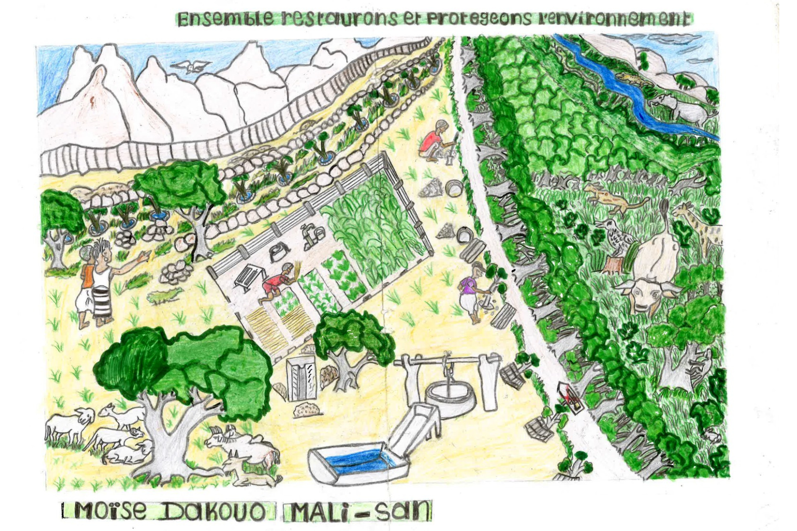 Agroecology drawing: the future of sustainable farming and food systems depicted by rural youth in Mali