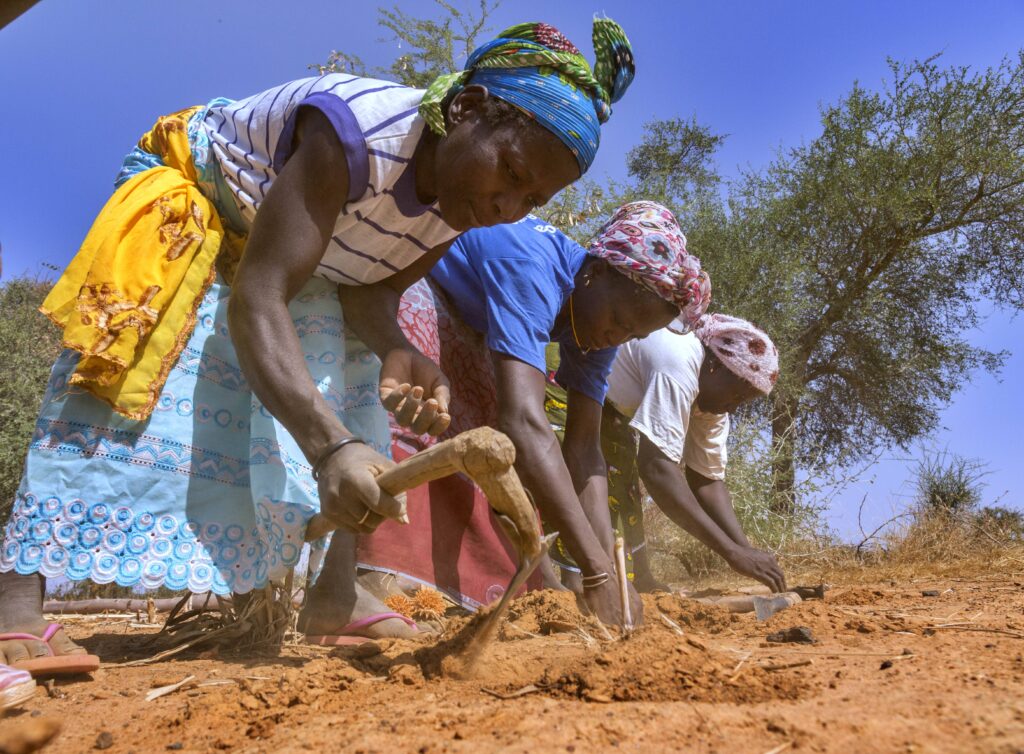 Agroecology as a practice to transform food systems