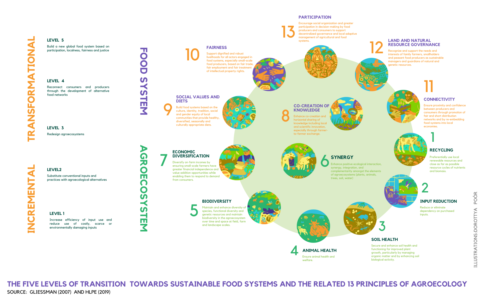 Agroecology as a practice, a science and a movement - Gliessman (2007)