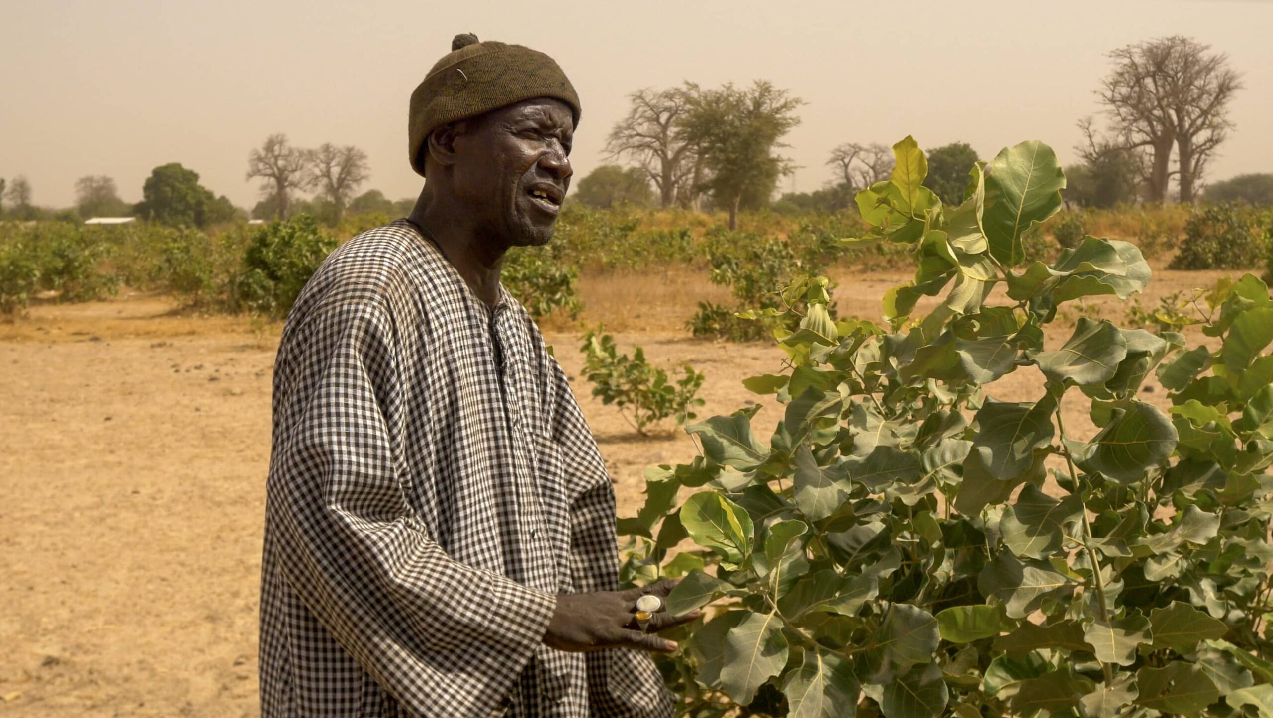 Transforming food systems starts with farmers