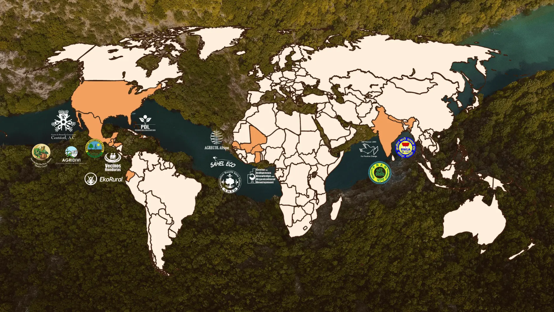 Groundswell International's global network of local NGO partners scaling agroecology from the ground up