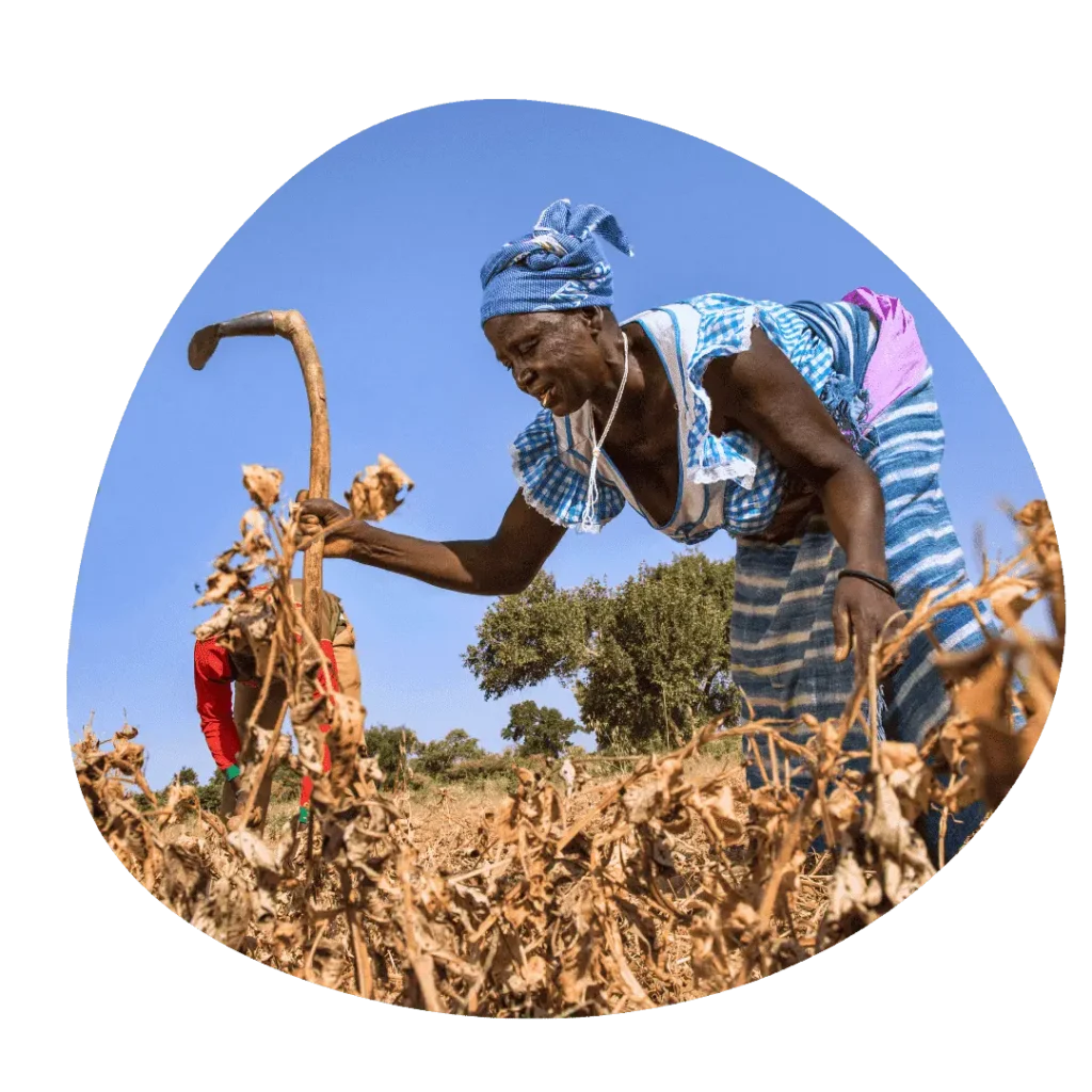 Championing women farmers with agroecology