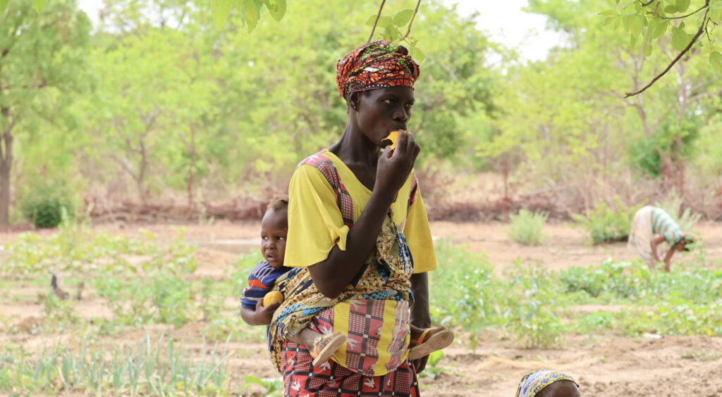 Community-led responses to conflict in the Sahel: the power of agroecology