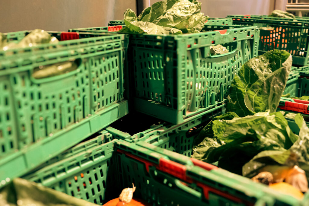 agroecogical farm in Berlin