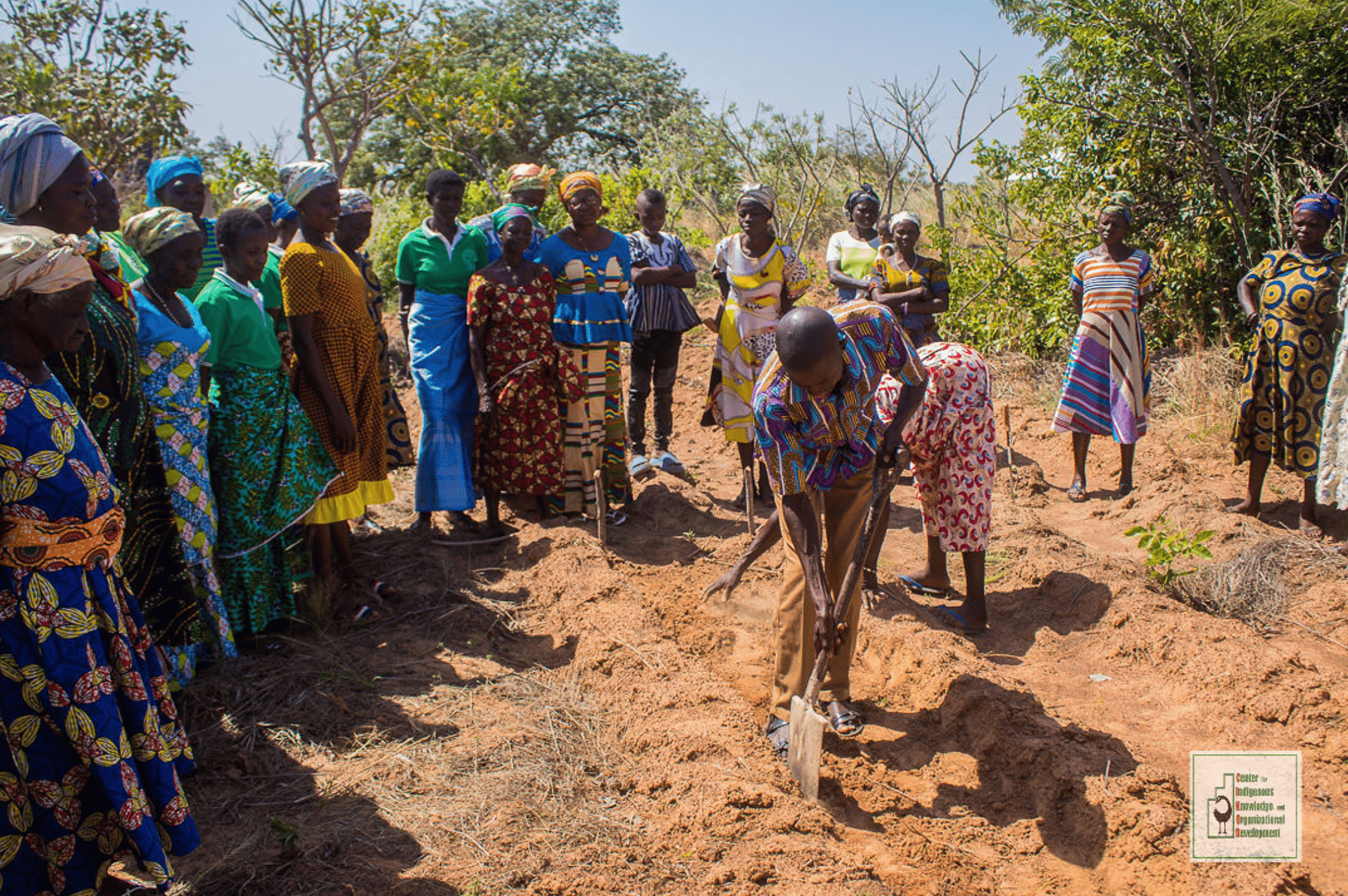 Farmer-centric learning and innovation in Ghana