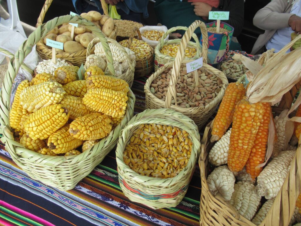 Native seed preservation in Ecuador