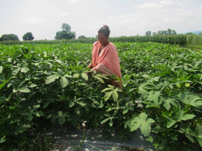 Female farmers in Nepal driving change in their communities