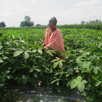 Female farmers in Nepal driving change in their communities