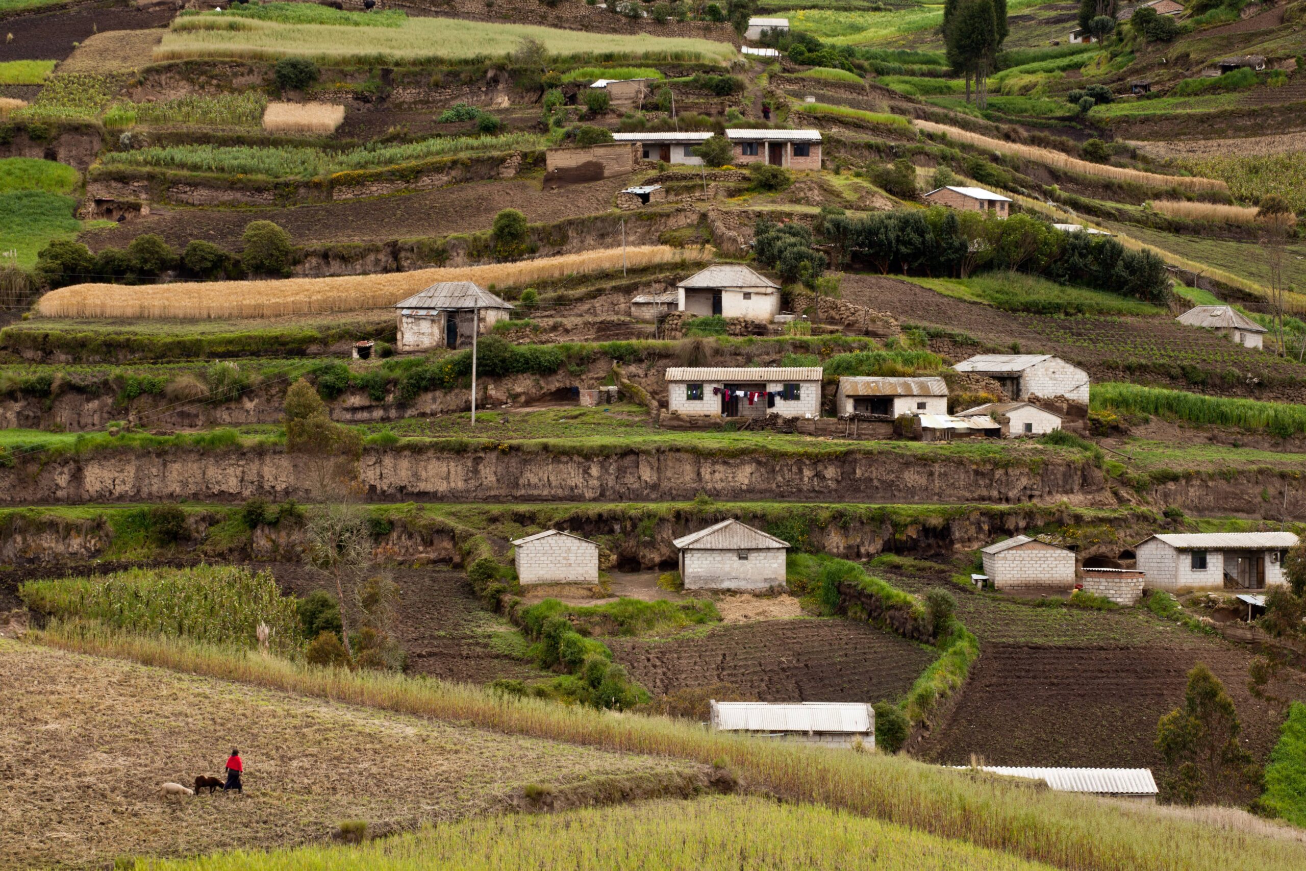 Rural communities in Ecuador practicing Indigenous farming techniques