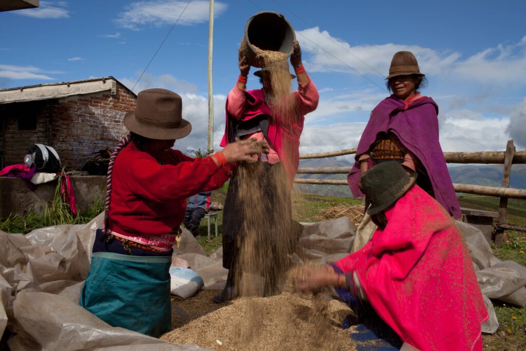 Native seed preservation in Ecuador