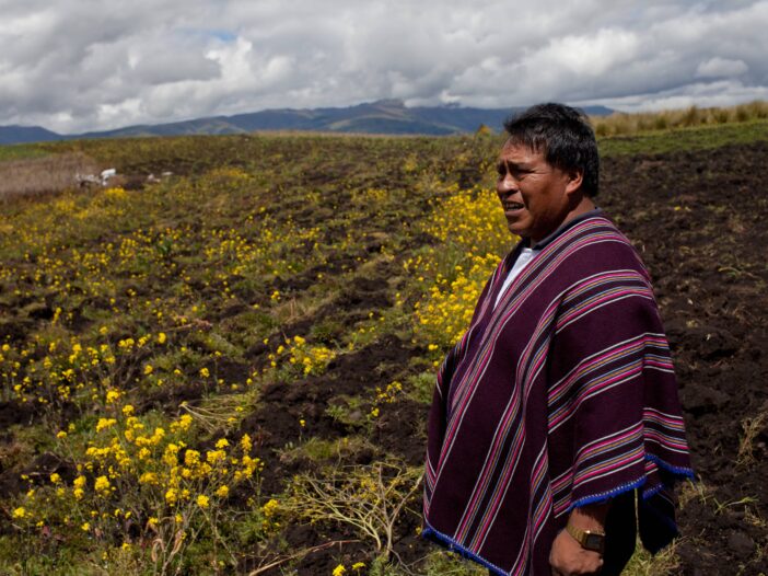 Indigenous Farming Techniques in Ecuador - Quechua Farmers in the Andes