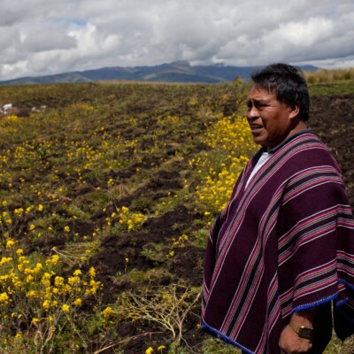 Indigenous Farming Techniques in Ecuador - Quechua Farmers in the Andes