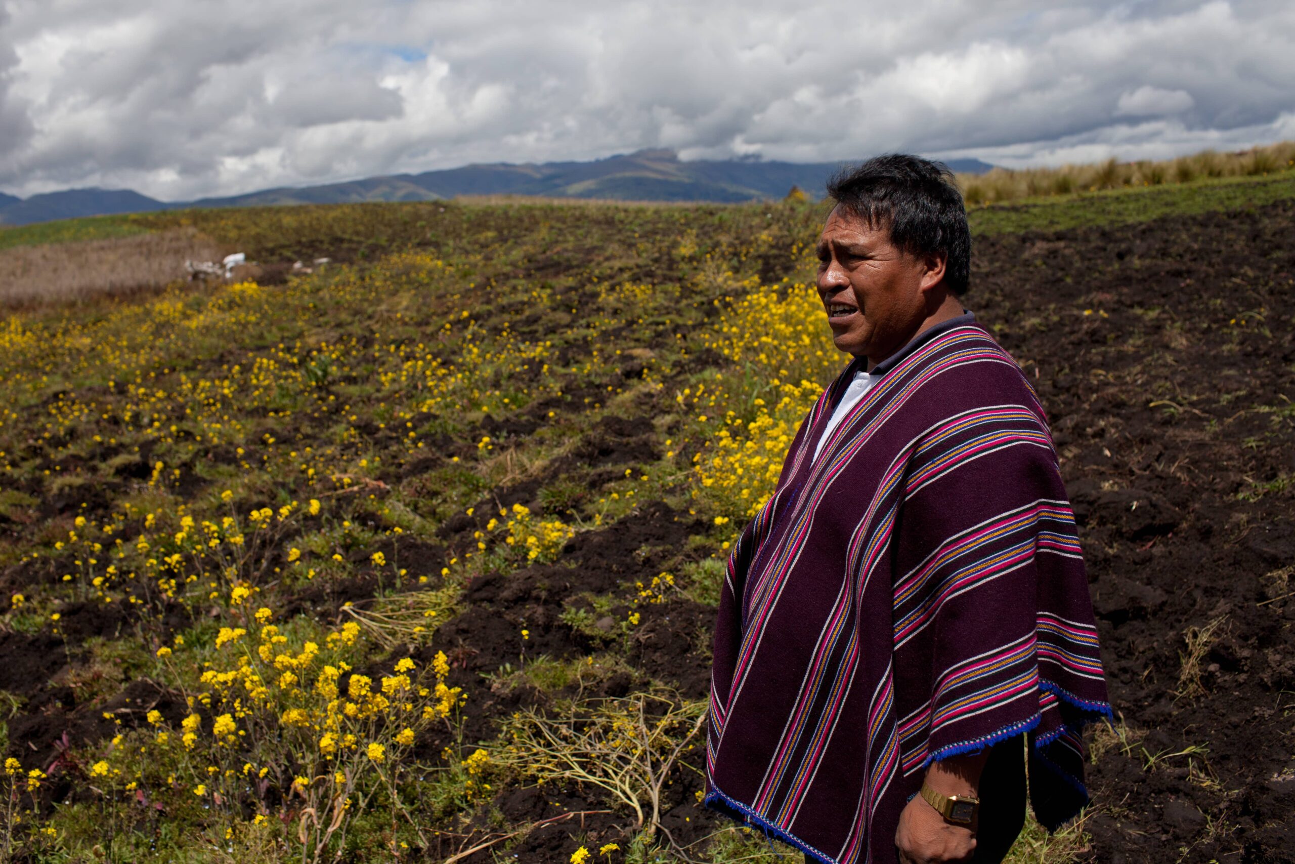 A quechua farmer in the Andes in Ecuador