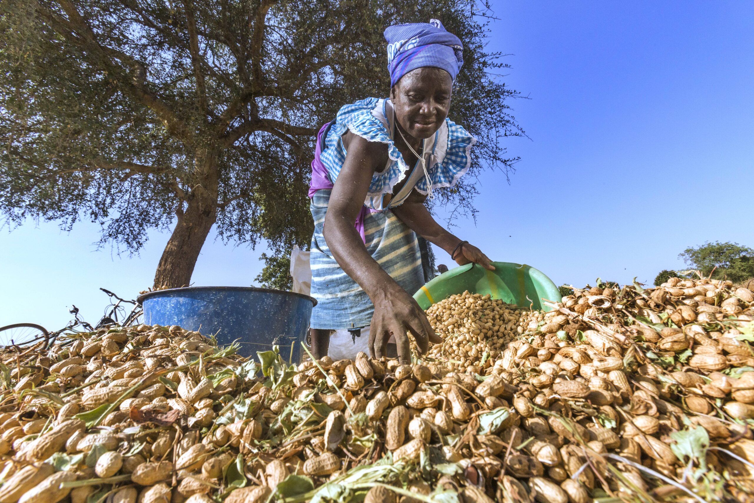 Women farmers leading change in Burkina Faso