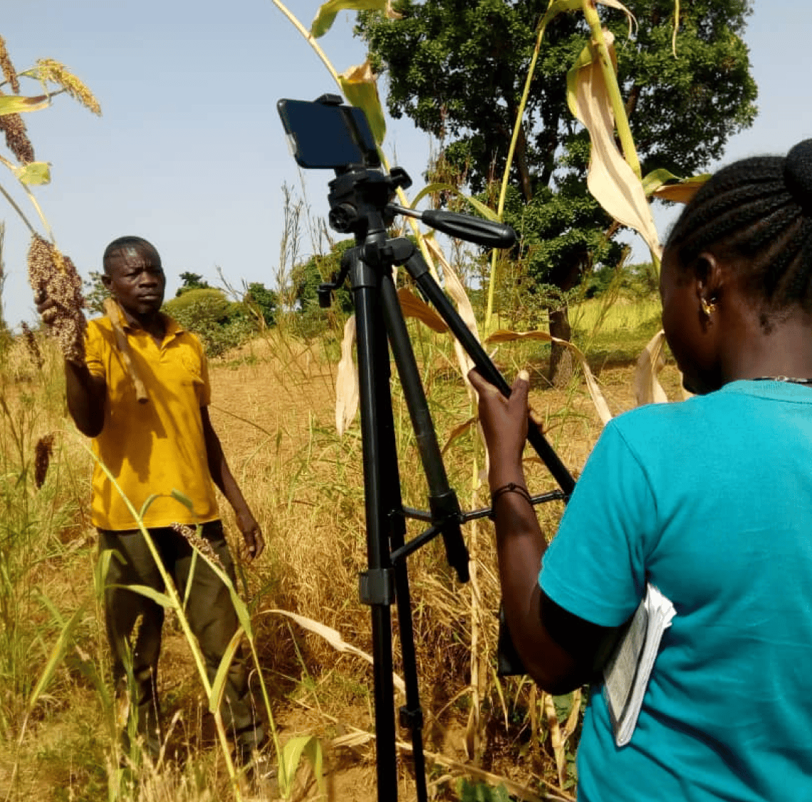 Documenting agroecological techniques in the field