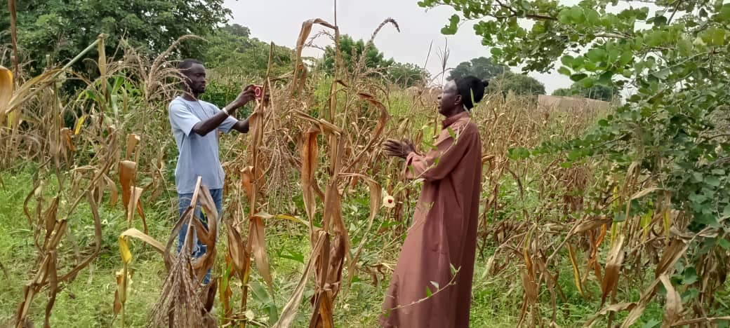 Young leaders shaping the future of food systems