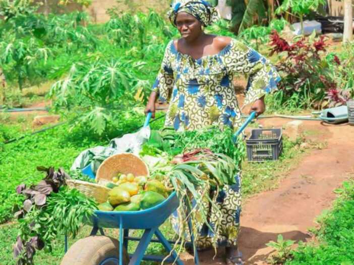 Penda's agroecological urban farm in Senegal