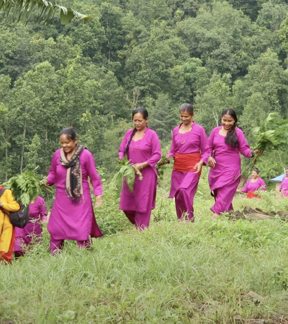 Women farmers in Nepal