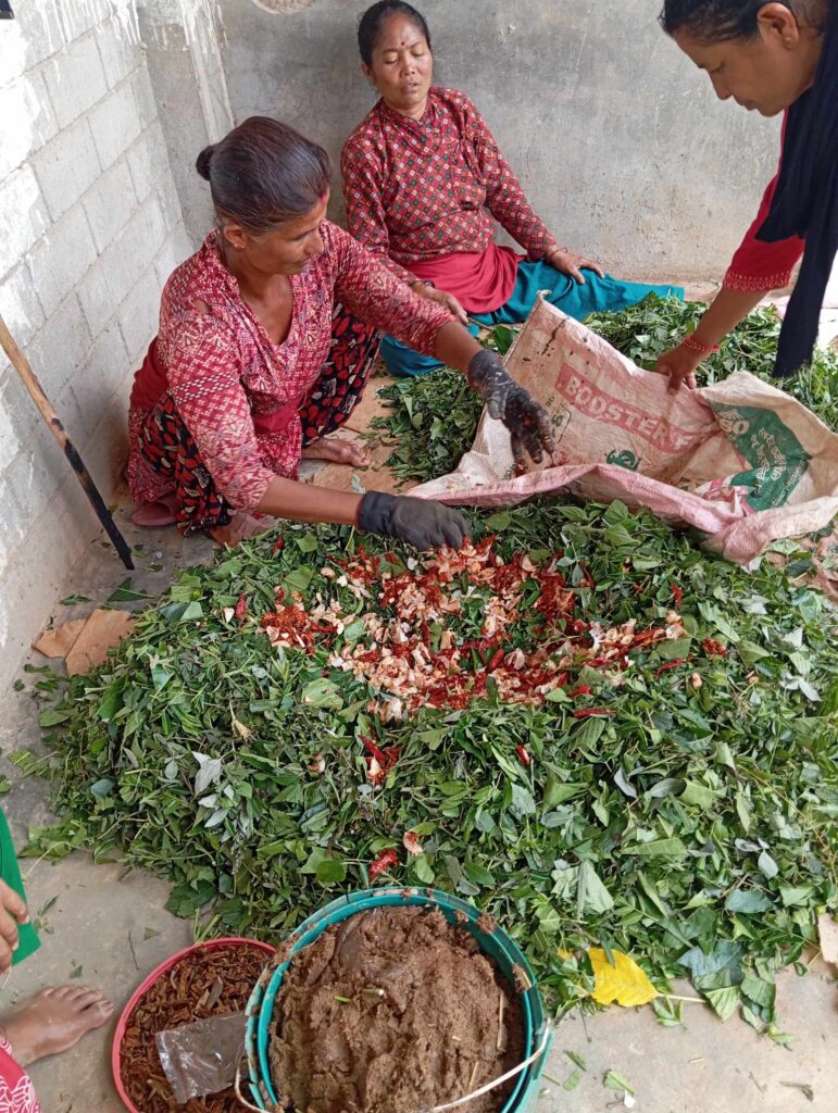 Women in Nepal making biofertilizers with local ingredients