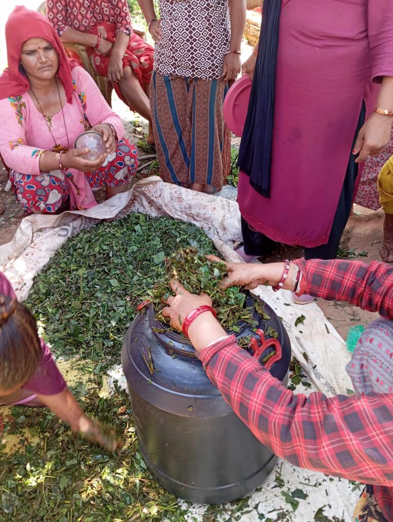 Women farmers in Nepal making biofertilizers