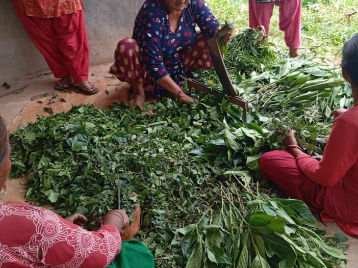 A woman farmer in Nepal making biofertilizers