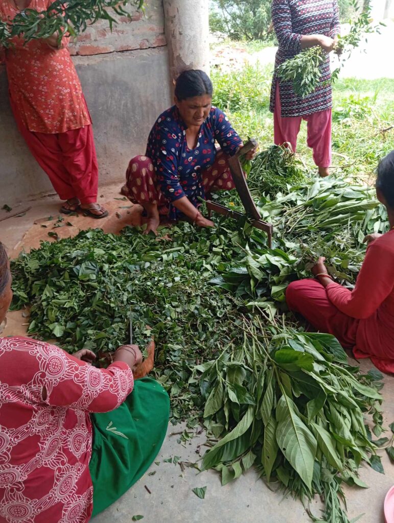 A woman farmer in Nepal making biofertilizers