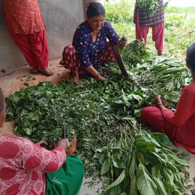 A woman farmer in Nepal making biofertilizers