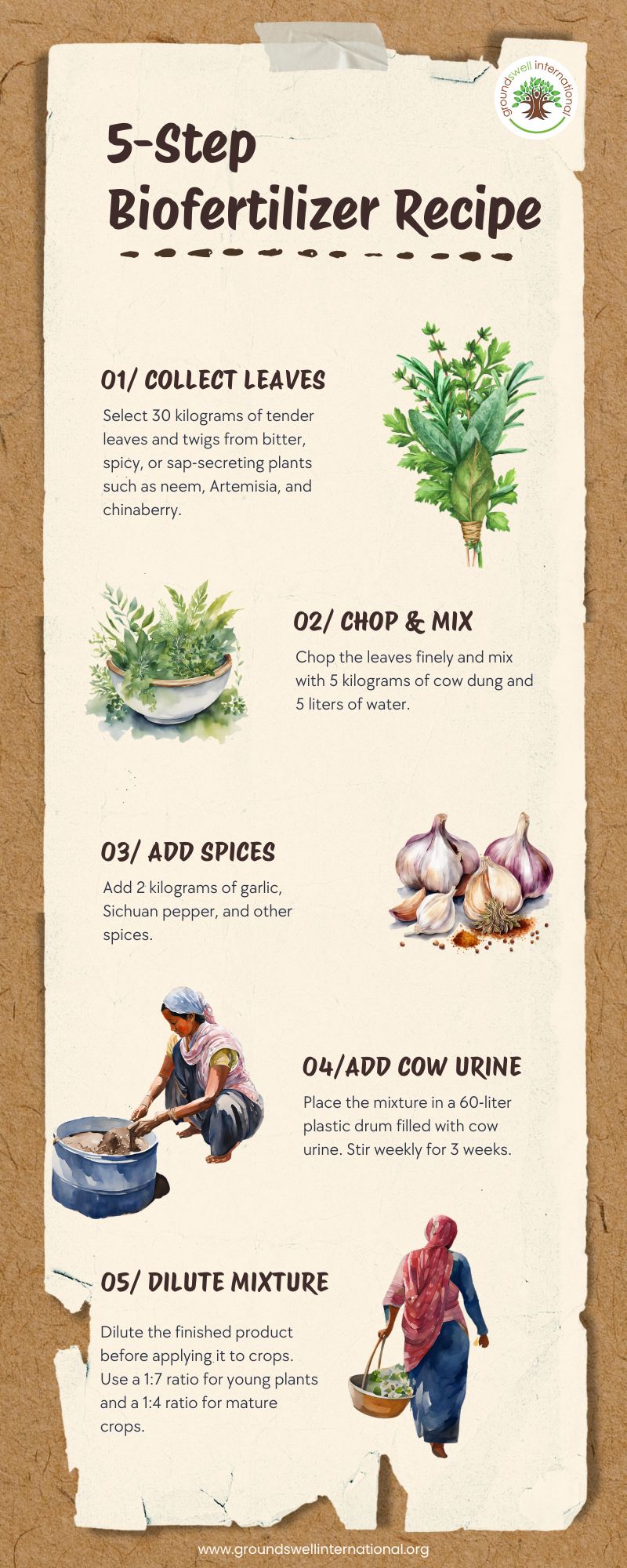 How to make biofertilizers recipe - infographic