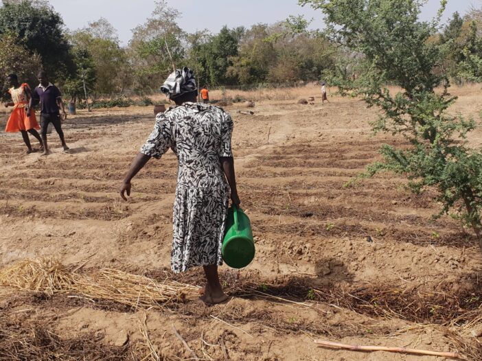 Expanding agroecology in Ghana