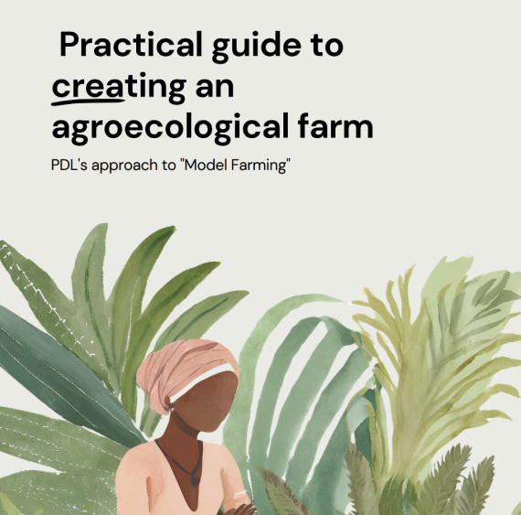 Practical guide to creating an agroecological farm