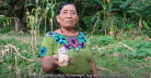 The Milpa System: ancestral agroecological practices in Guatemala