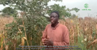 The Benefits of Farmer Managed Natural Regeneration (FMNR) in Senegal - ONG Agrecol Afrique